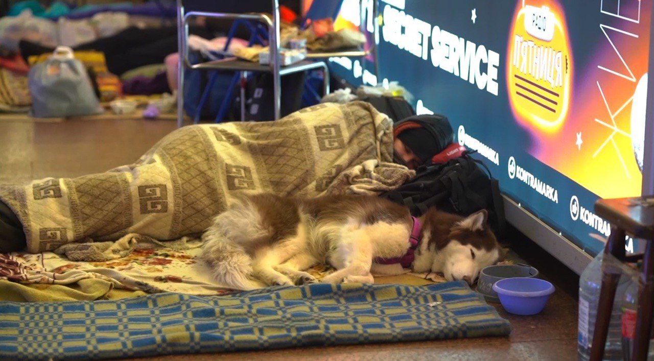 День українського добровольця: кіно українського режисера покажуть на фестивалі у Британії - фото 1