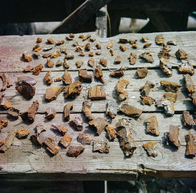 Колись збирав монети, а тепер – осколки снарядів: зворушлива історія 12-річного Тимофія - фото 505801