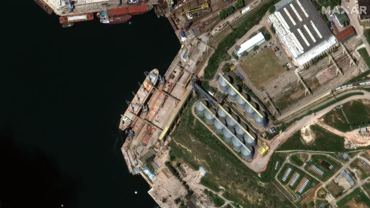 Кораблі Росії з викраденим українським зерном - фото 1