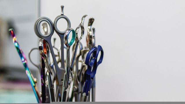 Місячний календар стрижок на червень 2022: дні, коли стригти волосся - фото 506072