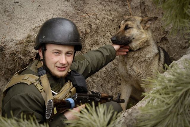 Нацгвардієць на Київщині знайшов собі чотирилапого друга: зворушлива історія - фото 506302