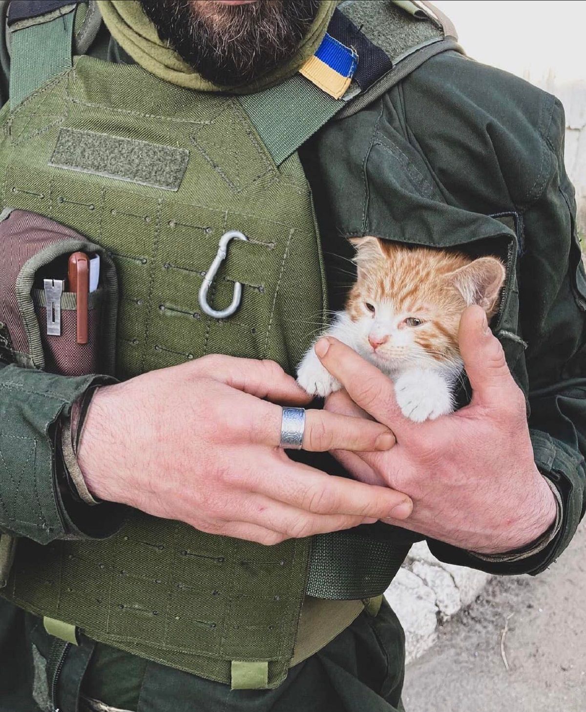 Нацгвардієць з кошеням - фото 1