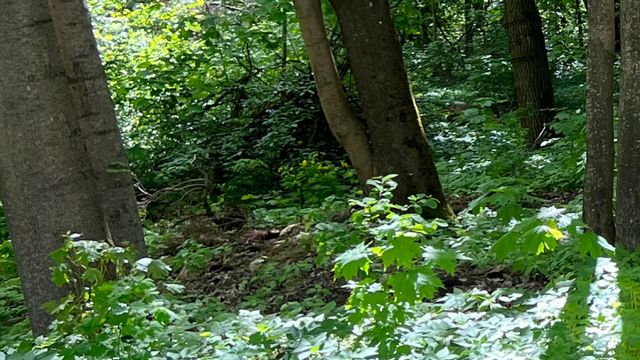 twitter.com/BenGeskin - фото 506400