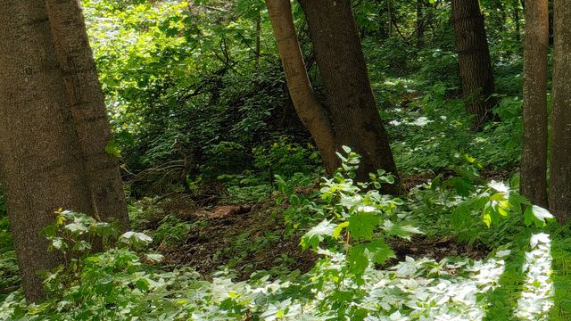 twitter.com/BenGeskin - фото 506401