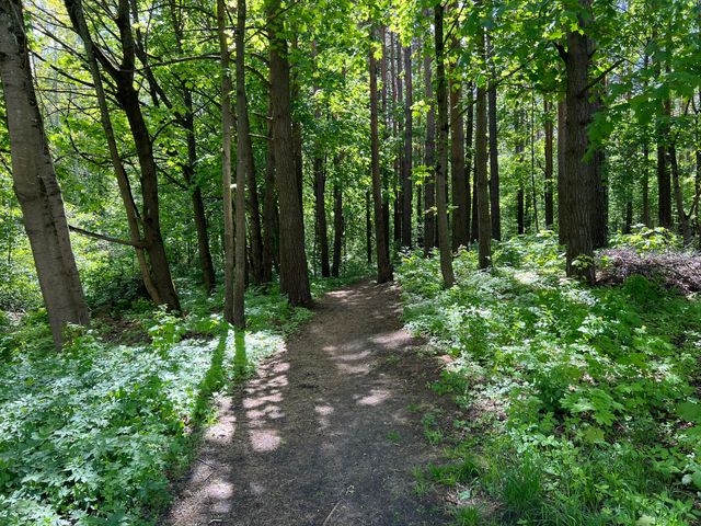 twitter.com/BenGeskin - фото 506402