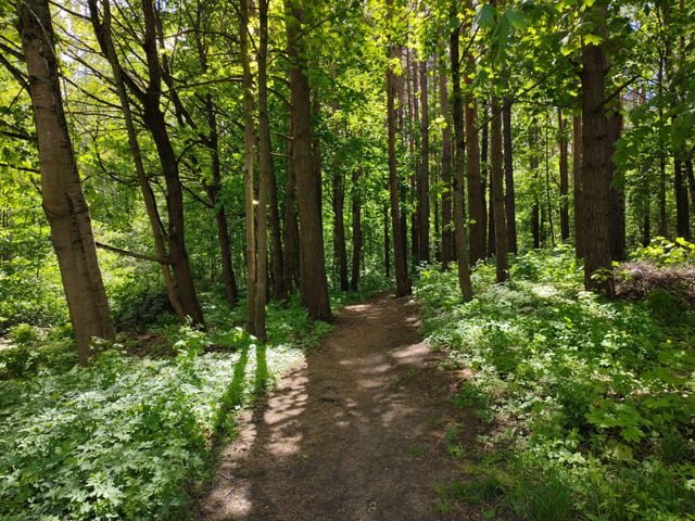 twitter.com/BenGeskin - фото 506403