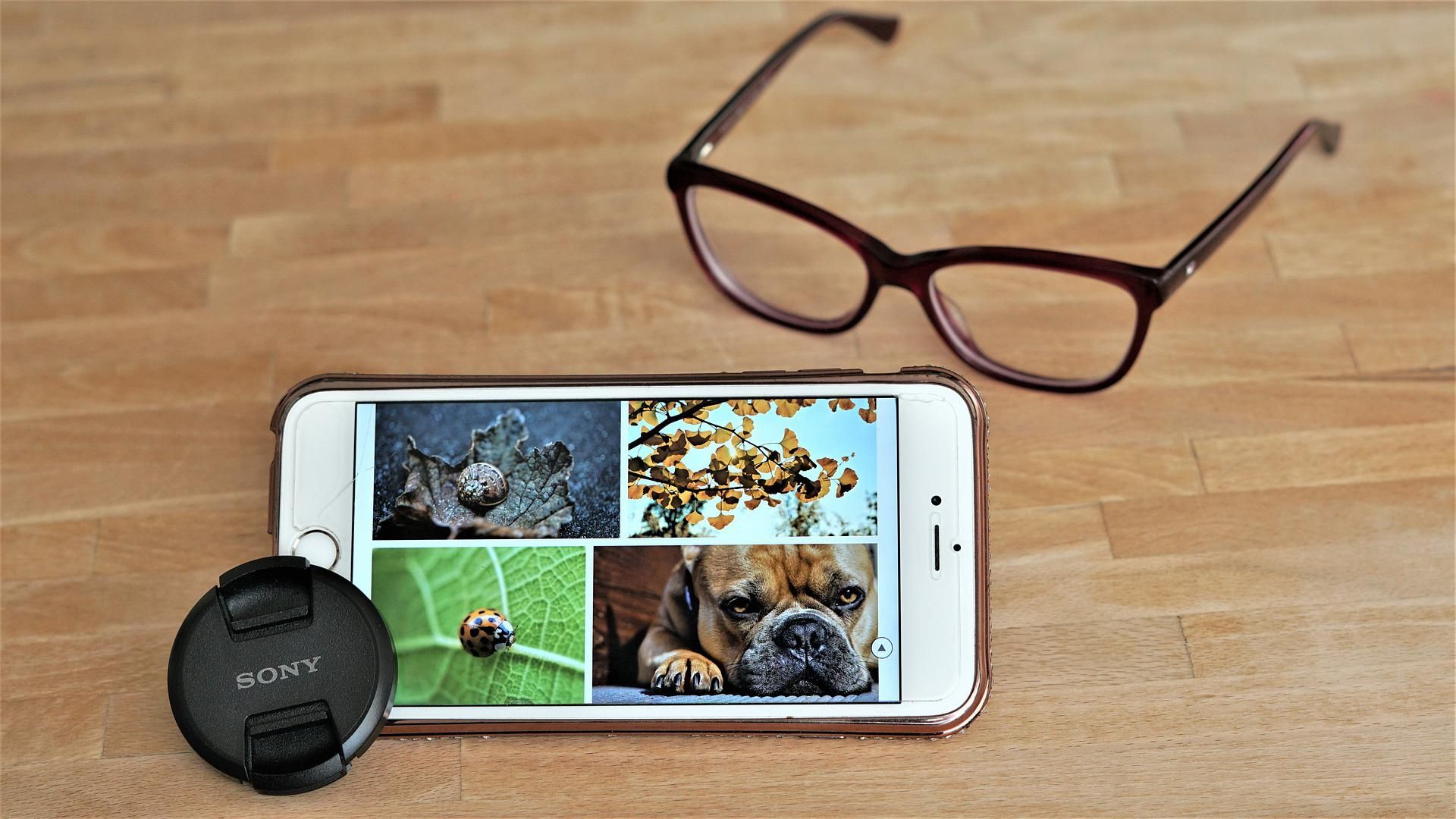 Більше жодних кадрів: безплатний фотобанк Pixabay закрив доступ для росіян