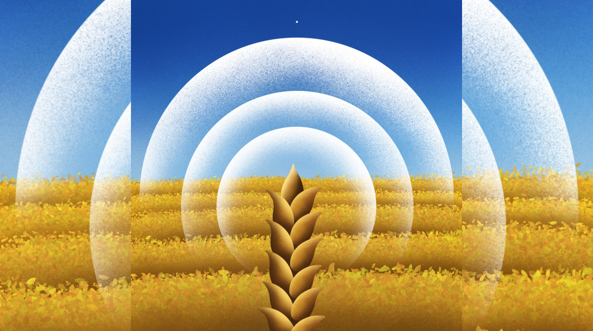 Компанія Starlink дала ліцензію на роботу в Україні