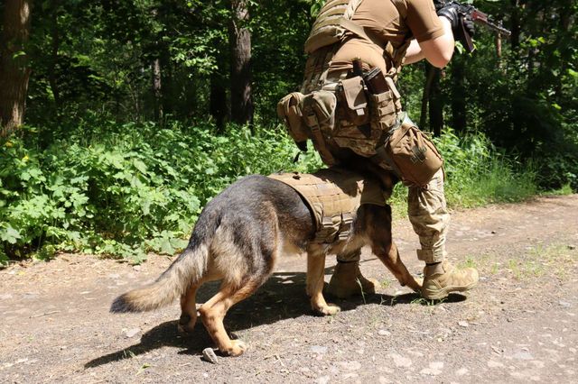 facebook.com/DefenceIntelligenceofUkraine - фото 507364