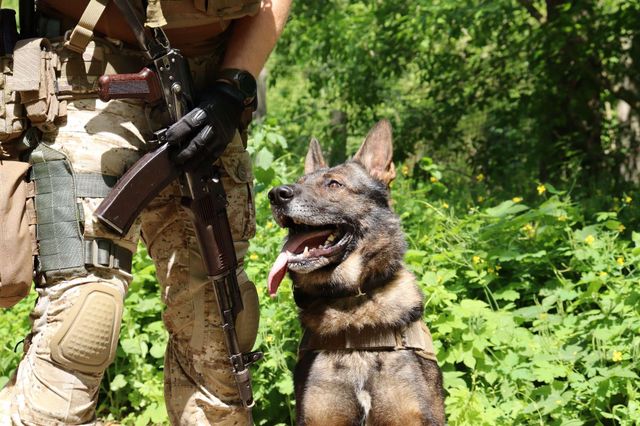 facebook.com/DefenceIntelligenceofUkraine - фото 507365