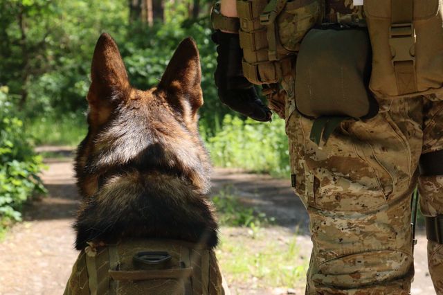 facebook.com/DefenceIntelligenceofUkraine - фото 507366