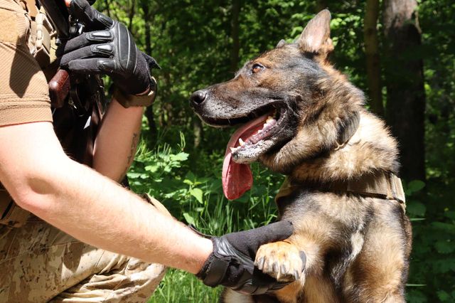 facebook.com/DefenceIntelligenceofUkraine - фото 507368