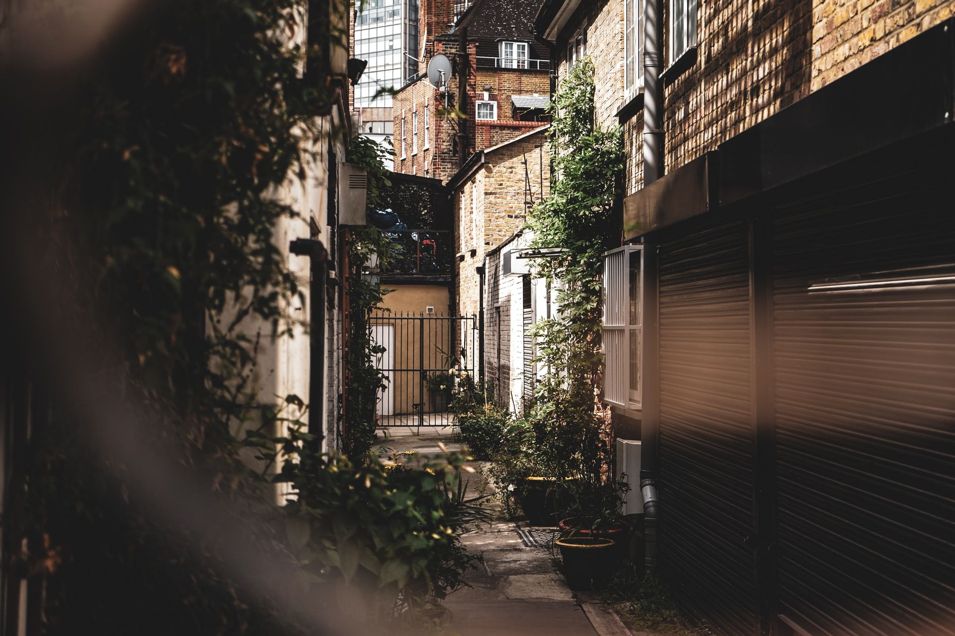 Прогноз погоди на 15 червня 2022 в Україні - фото 1