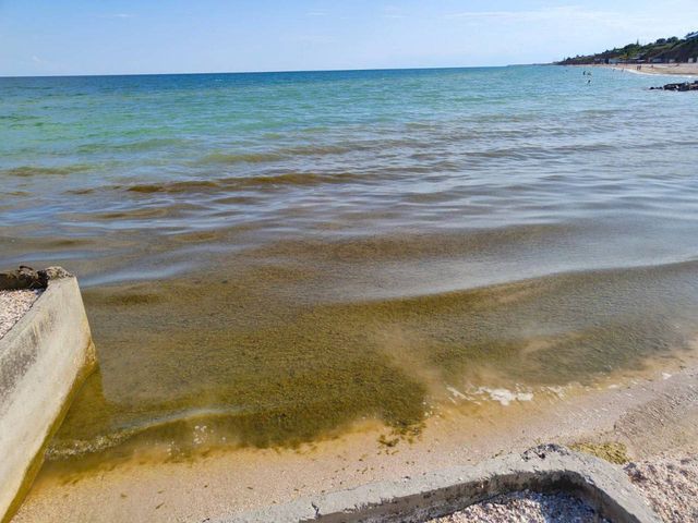 Порожні пляжі та закриті заклади: на фото показали окуповану Кирилівку в розпал сезону - фото 507829