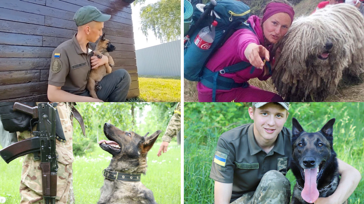 Рокі, Стіч, Сікро і Мальта: чим займаються собаки на службі в Україні - фото 1