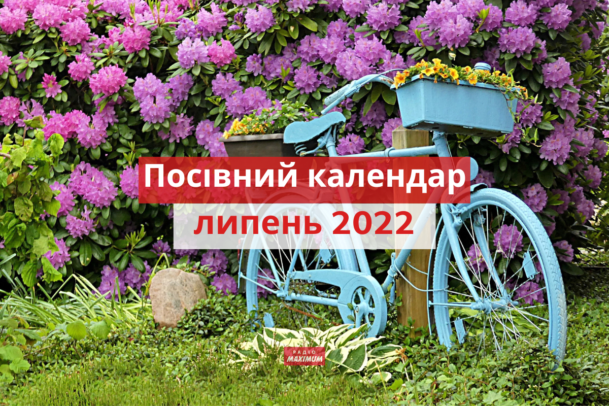 Місячний посівний календар на липень 2022: коли і що садити