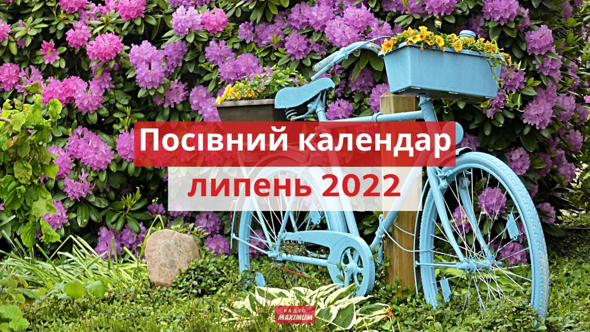 Посівний календар для городника на липень 2022 - фото 1