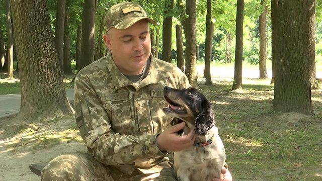 Саймон, Джесі та Кені – чим займаються чотирилапі прикордонники - фото 508938