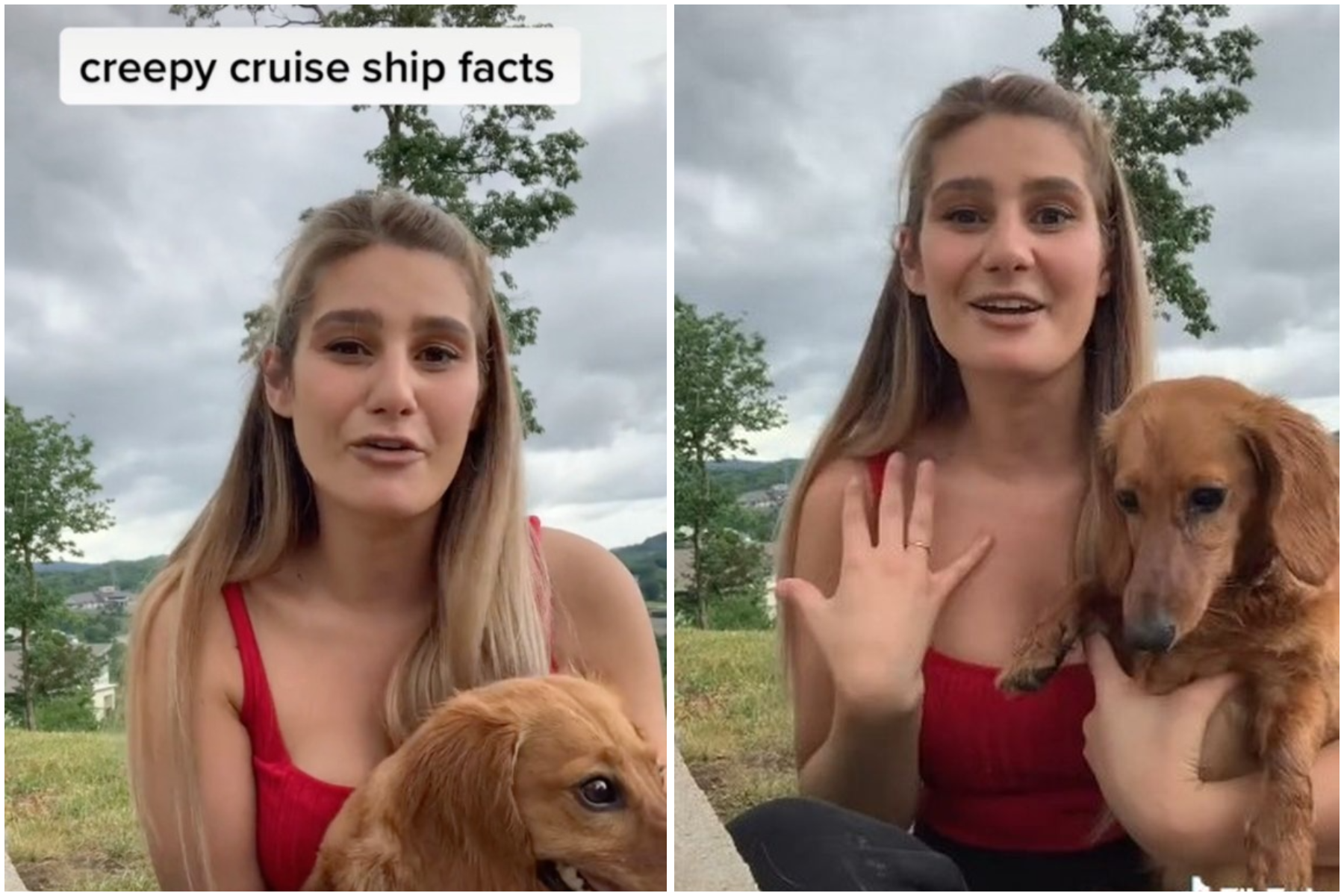 На борту є таємні кімнати: працівниця круїзного лайнера здивувала мережу