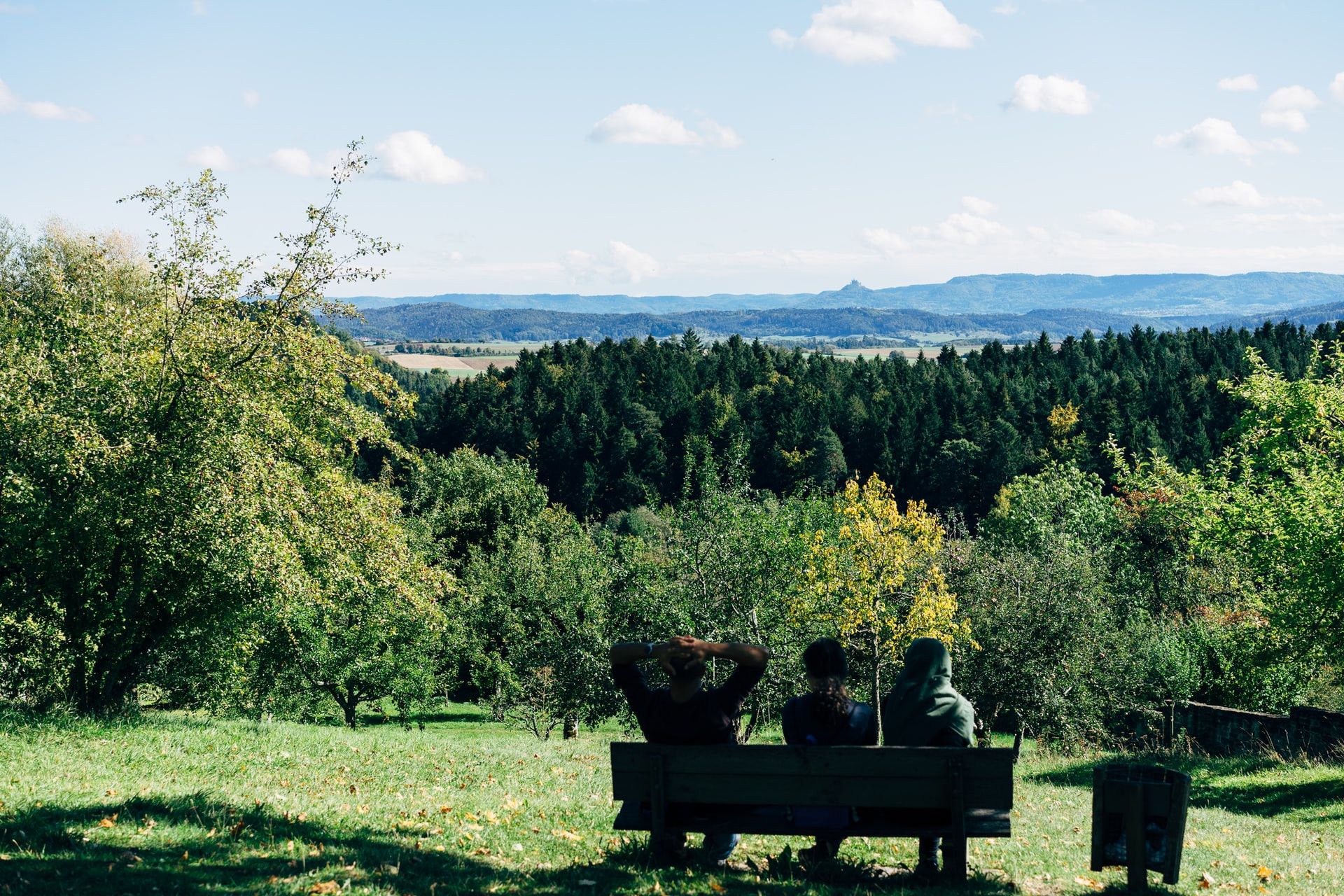 Температурні контрасти та дощі: прогноз погоди в Україні 15 липня