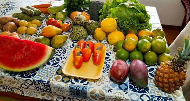 Вартість продуктового кошика у різних країнах світу: різниця в сумі вас здивує - фото 509708