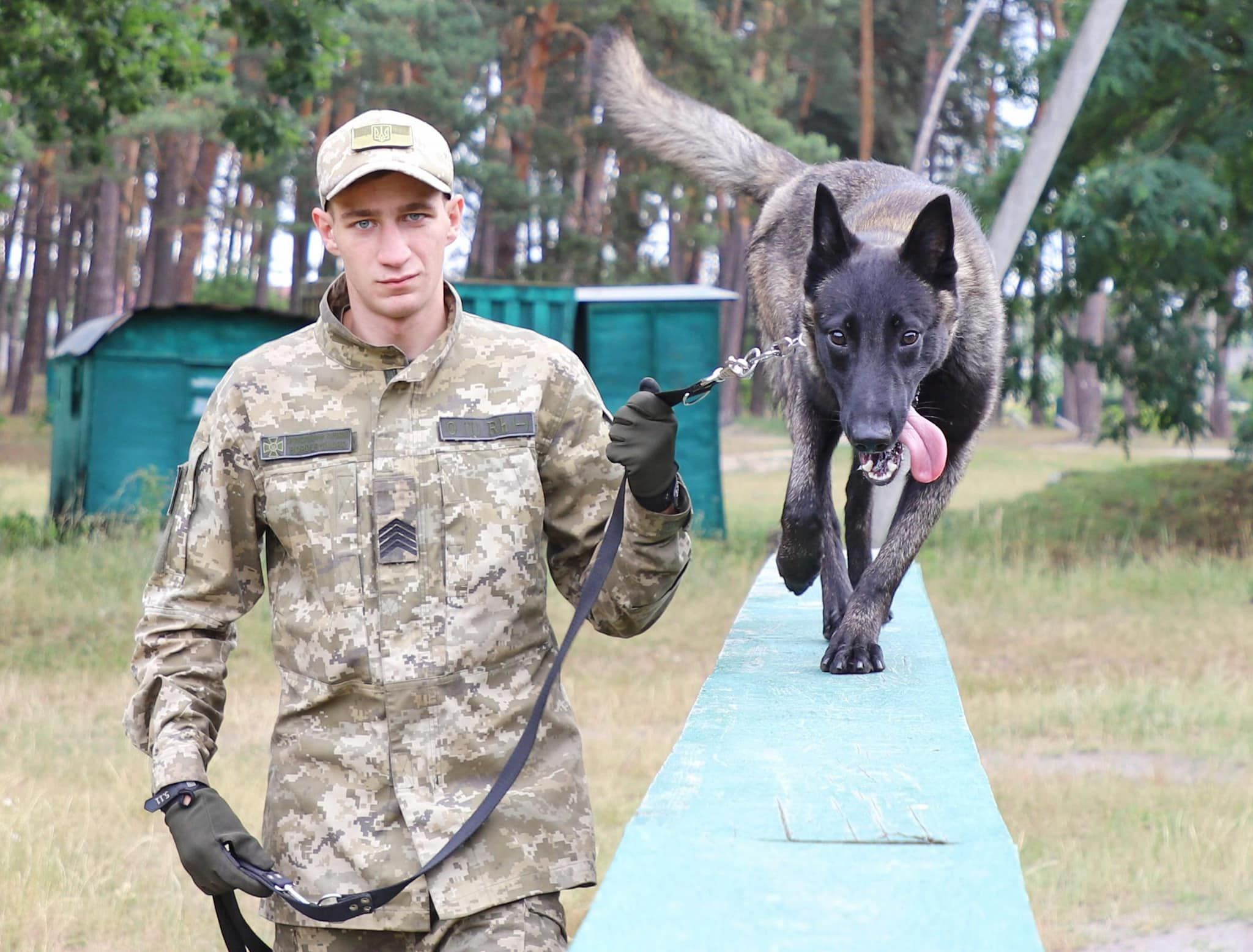 Віскі допомагає: прикордонники показали пухнастого колегу