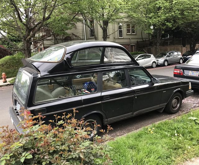 pangolinbreakfast - фото 509944