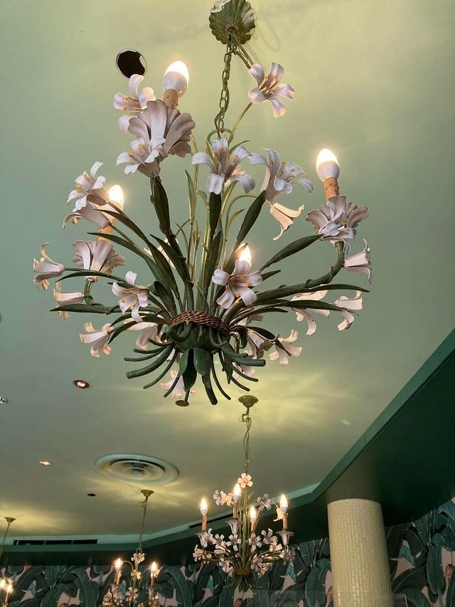 Stevie Holcomb - фото 510083