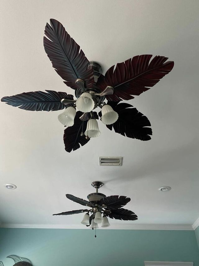 Andrea Long - фото 510089