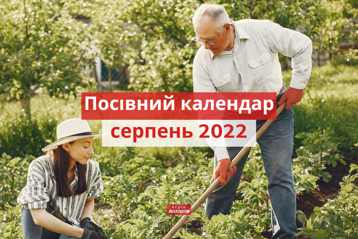 Посівний календар для городника на серпень 2022 - фото 1