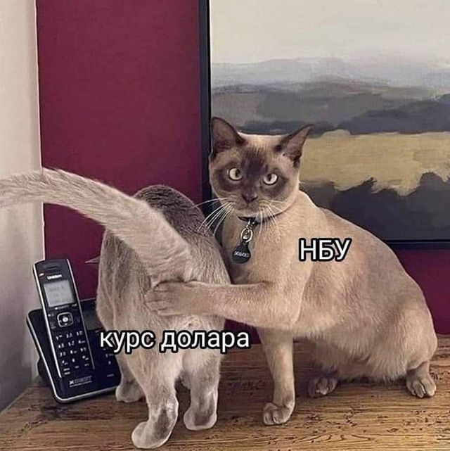 НБУ приховує курс валют: добірка кумедних мемів з мережі - фото 510616