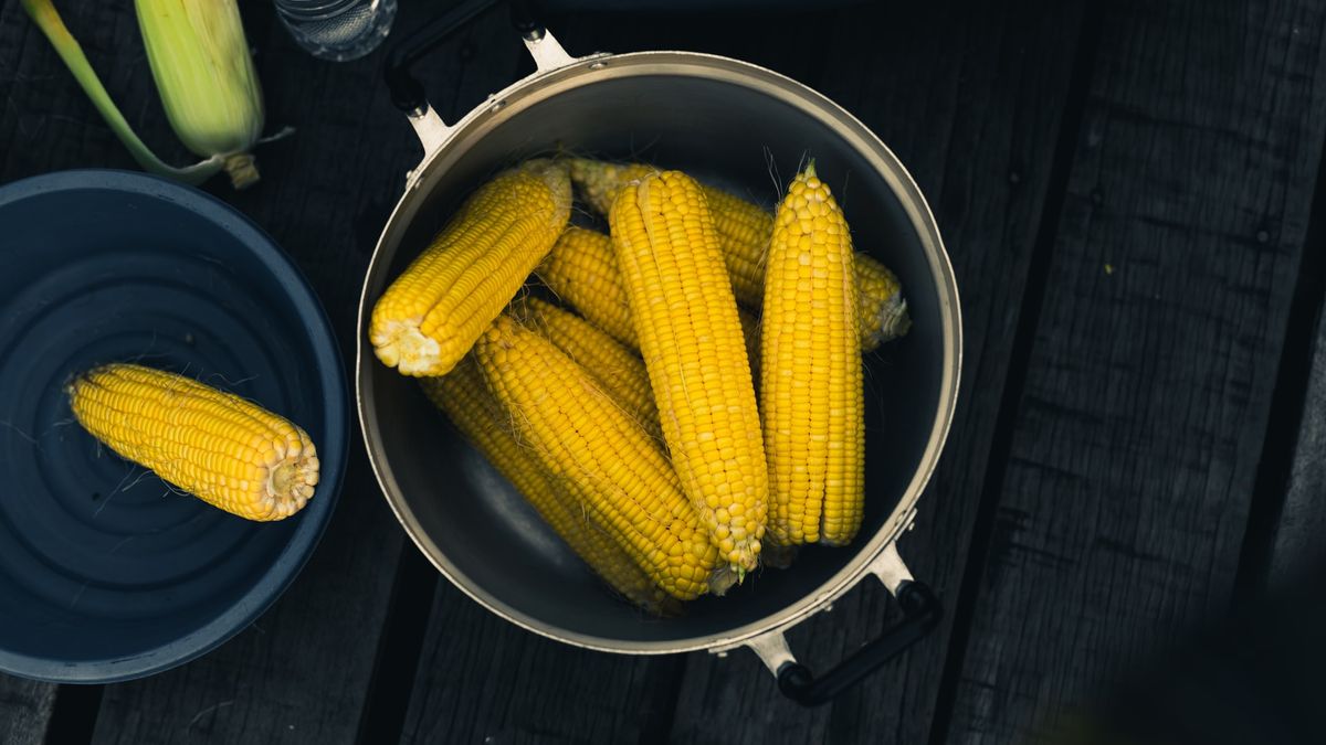 Як правильно варити молоду кукурудзу - фото 1