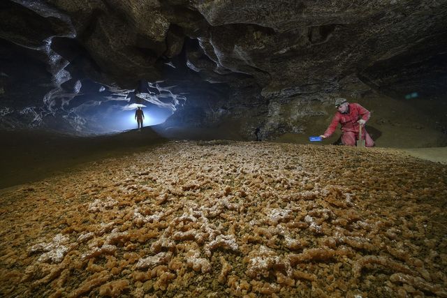 4 серпня 2023 – яке сьогодні свято: традиції, заборони і прикмети - фото 510839
