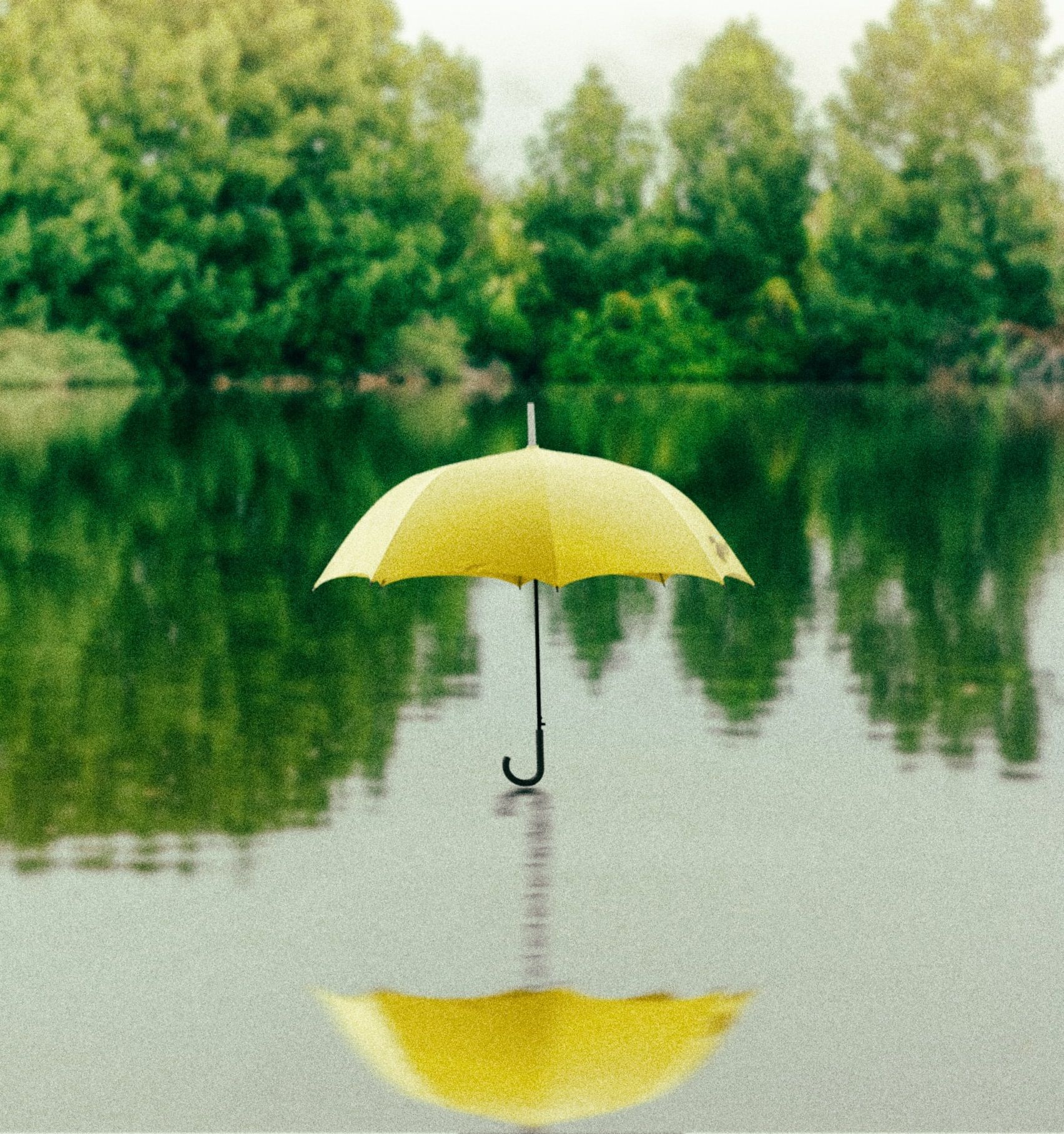 Похолодання та дощі: прогноз погоди в Україні на 8 серпня