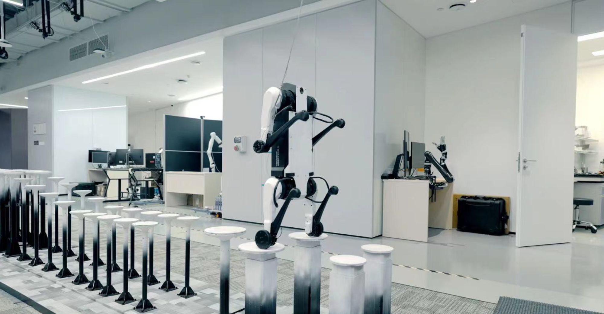 Китайська компанія показала нового робопса Max