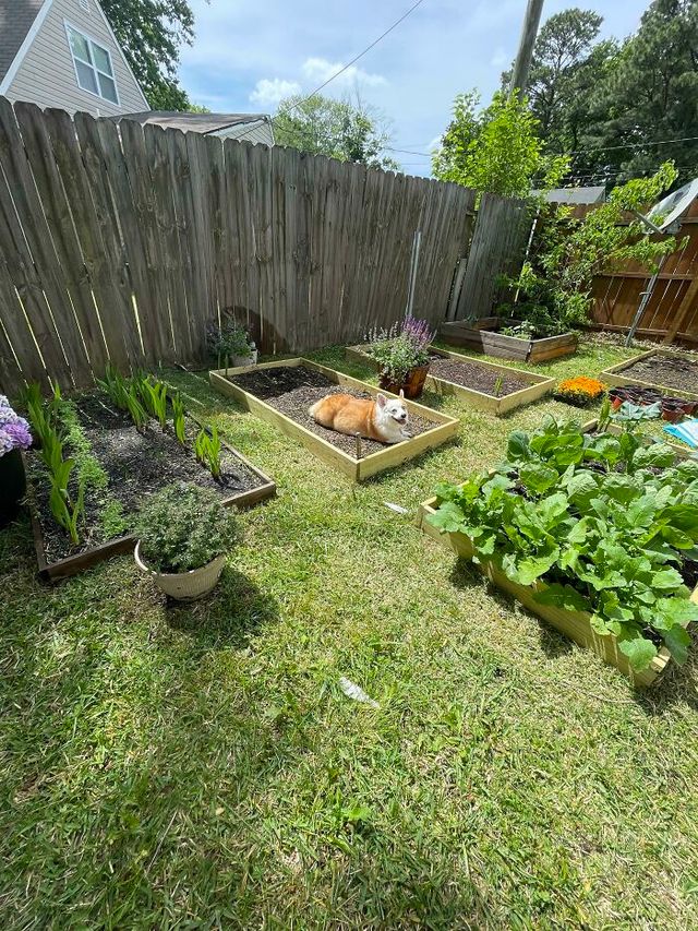 juujbeans - фото 511530