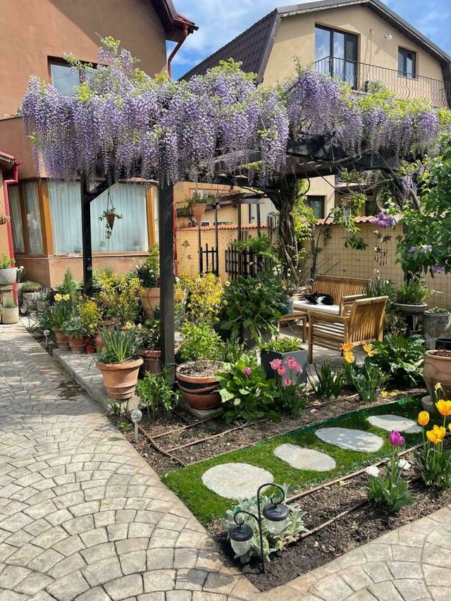 Nagary - фото 511534