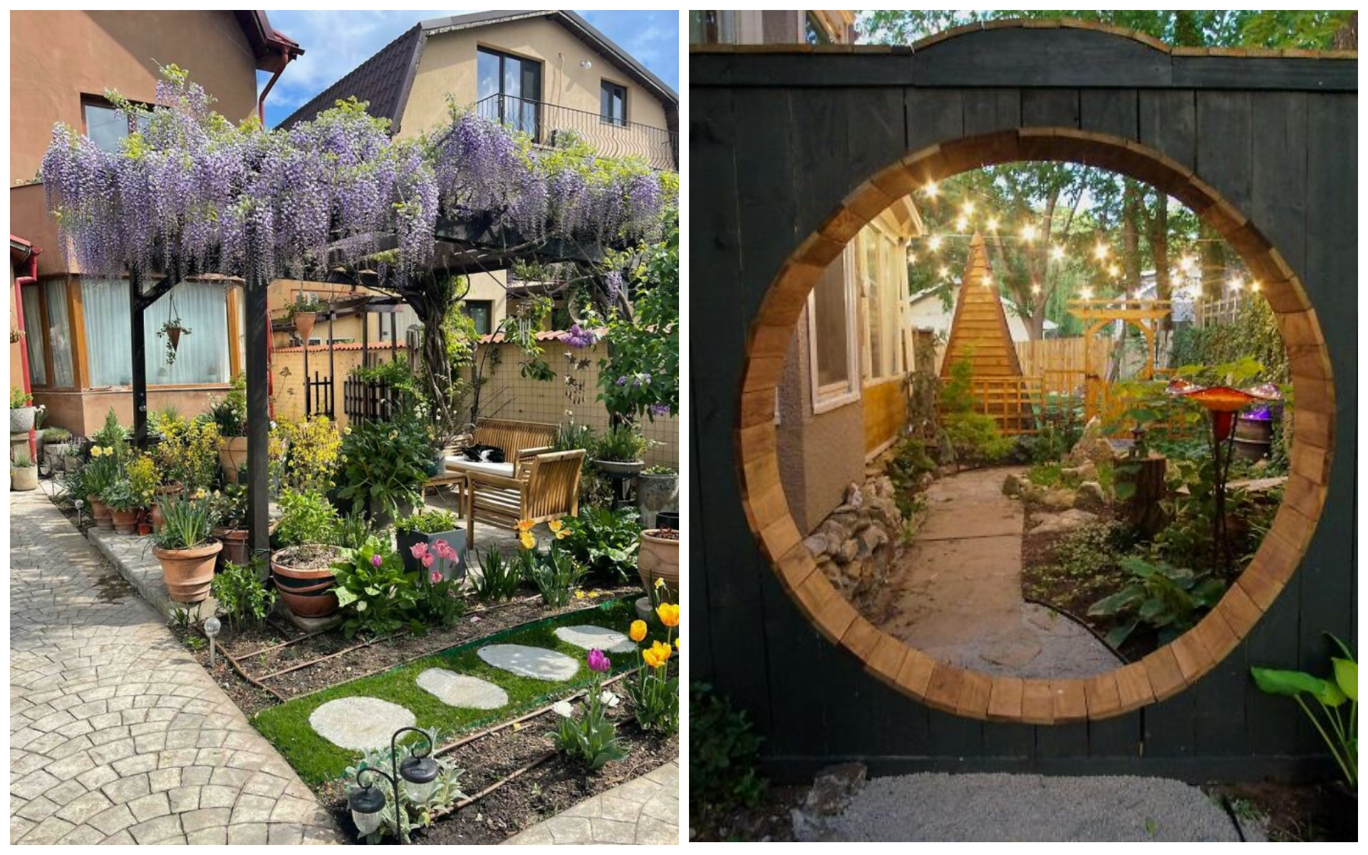 Город для душі: яскраві фото користувачів, які зайнялись садівництвом