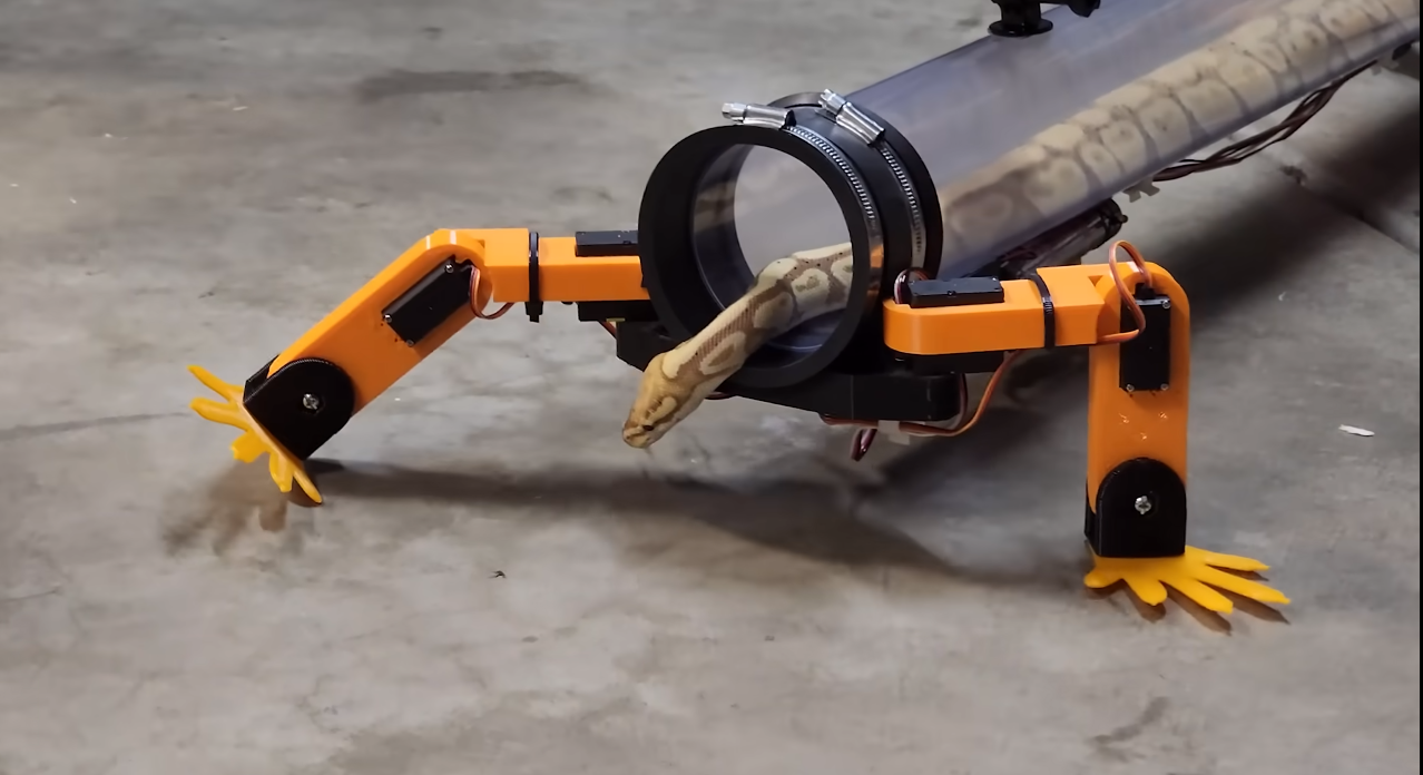 Інженер зібрав чотирилапий екзоскелет для змії