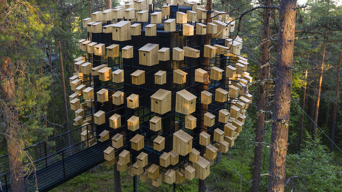 У Лапландії з'явився готельний номер на дереві - фото 1
