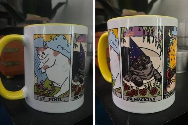 jolicloud272 - фото 511744