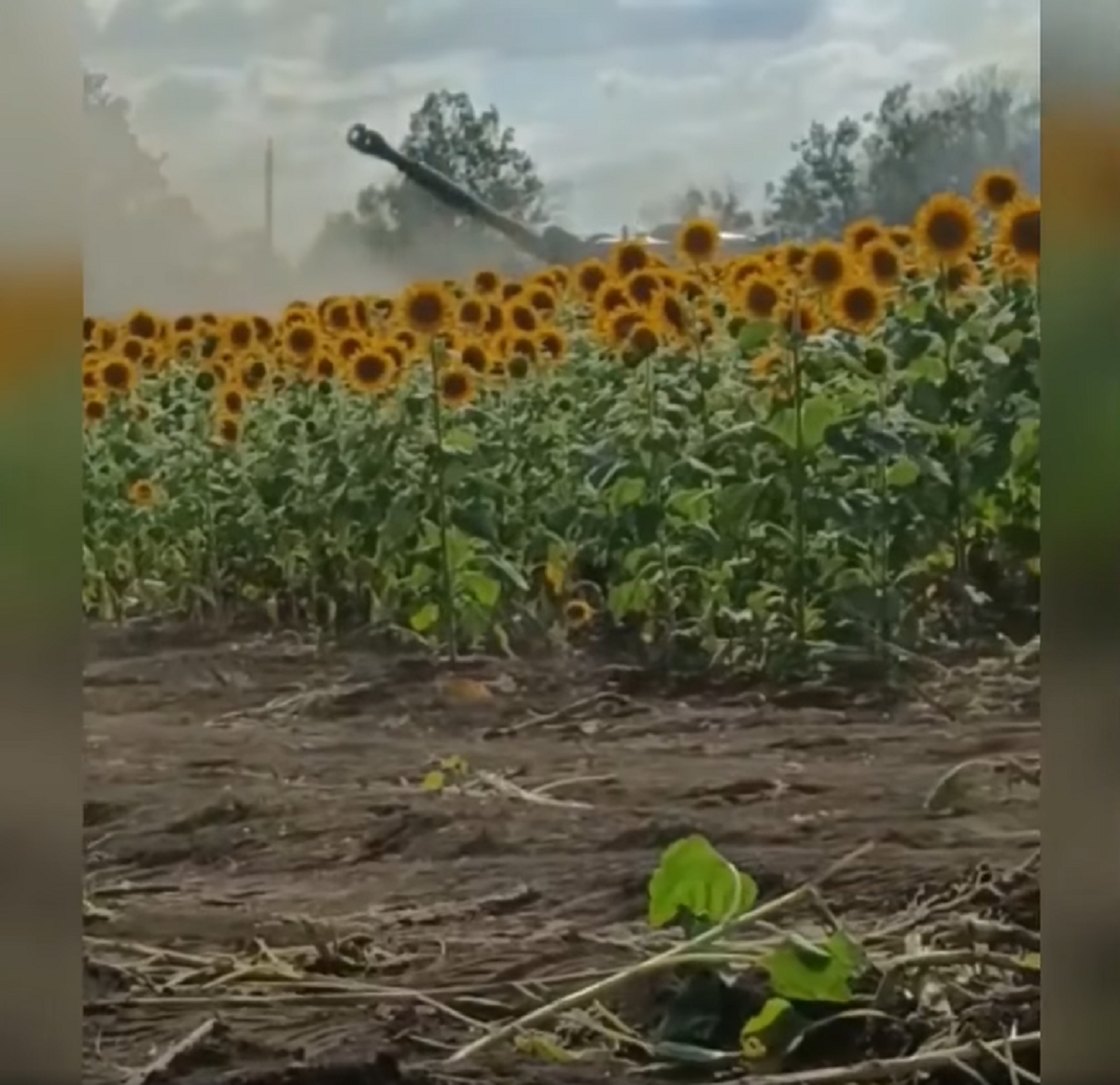 Нема вихідних: Січеславці показали, як нищать окупантів біля поля соняхів