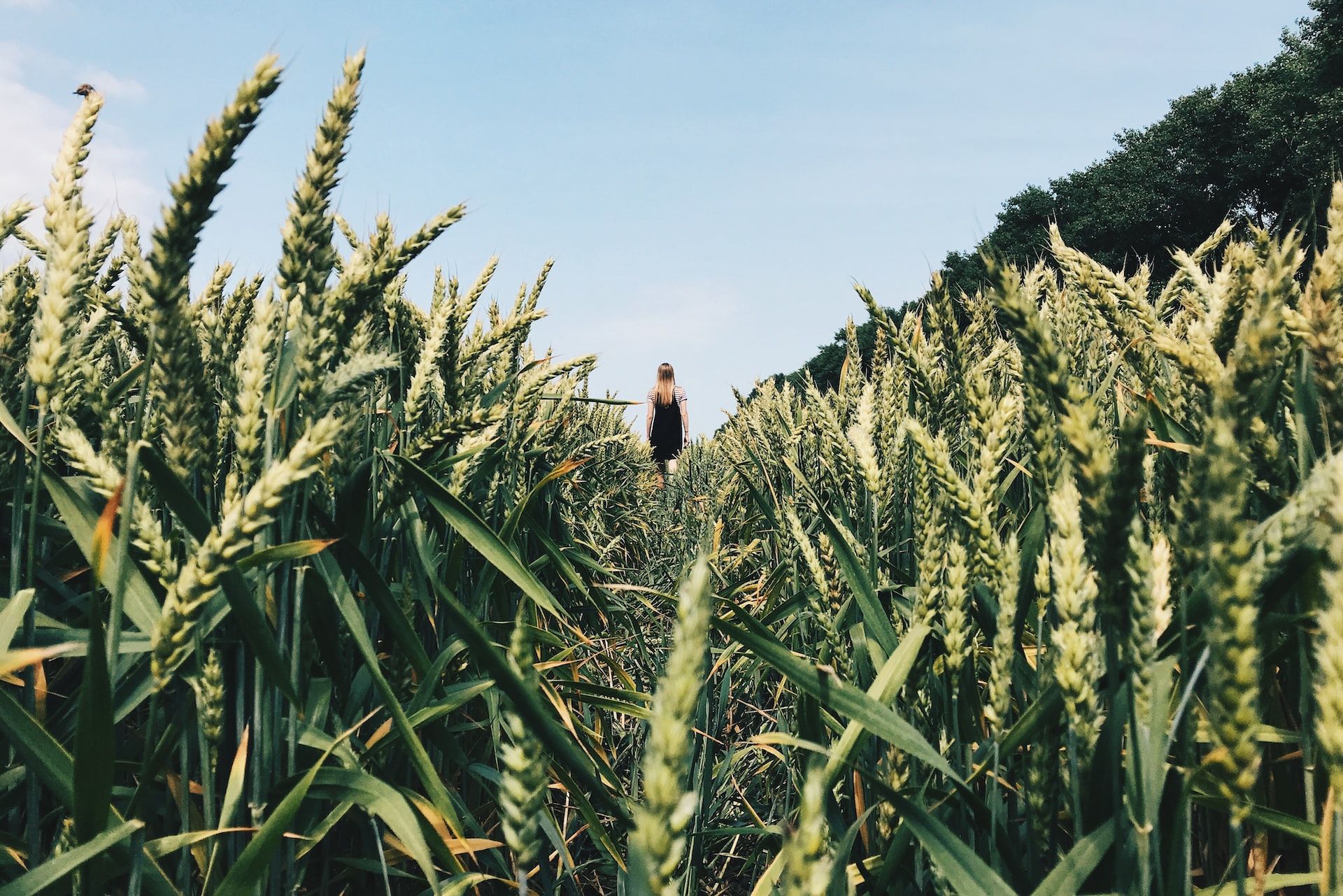 Прогноз погоди на 24 серпня 2022 в Україні - фото 1