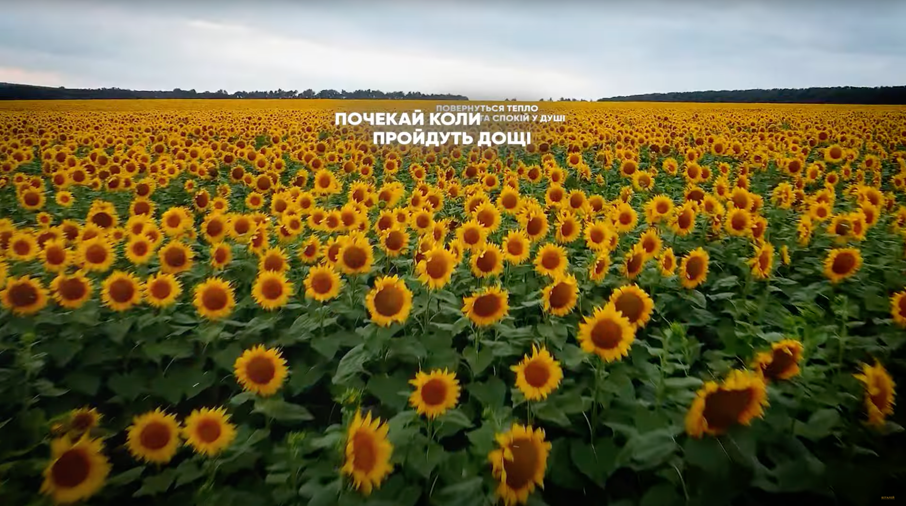 "Тихим дотиком": Віталій Козловський представляє нову пісню про тих, кого роз'єднала війна - фото 1