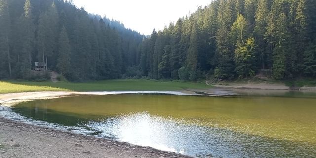 Найбільше гірське озеро України рекордно обміліло: фотофакт - фото 512202