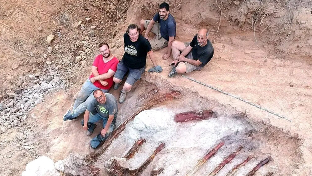 Португалець знайшов у своєму дворі останки динозавра, який жив 160 мільйонів років тому - фото 1