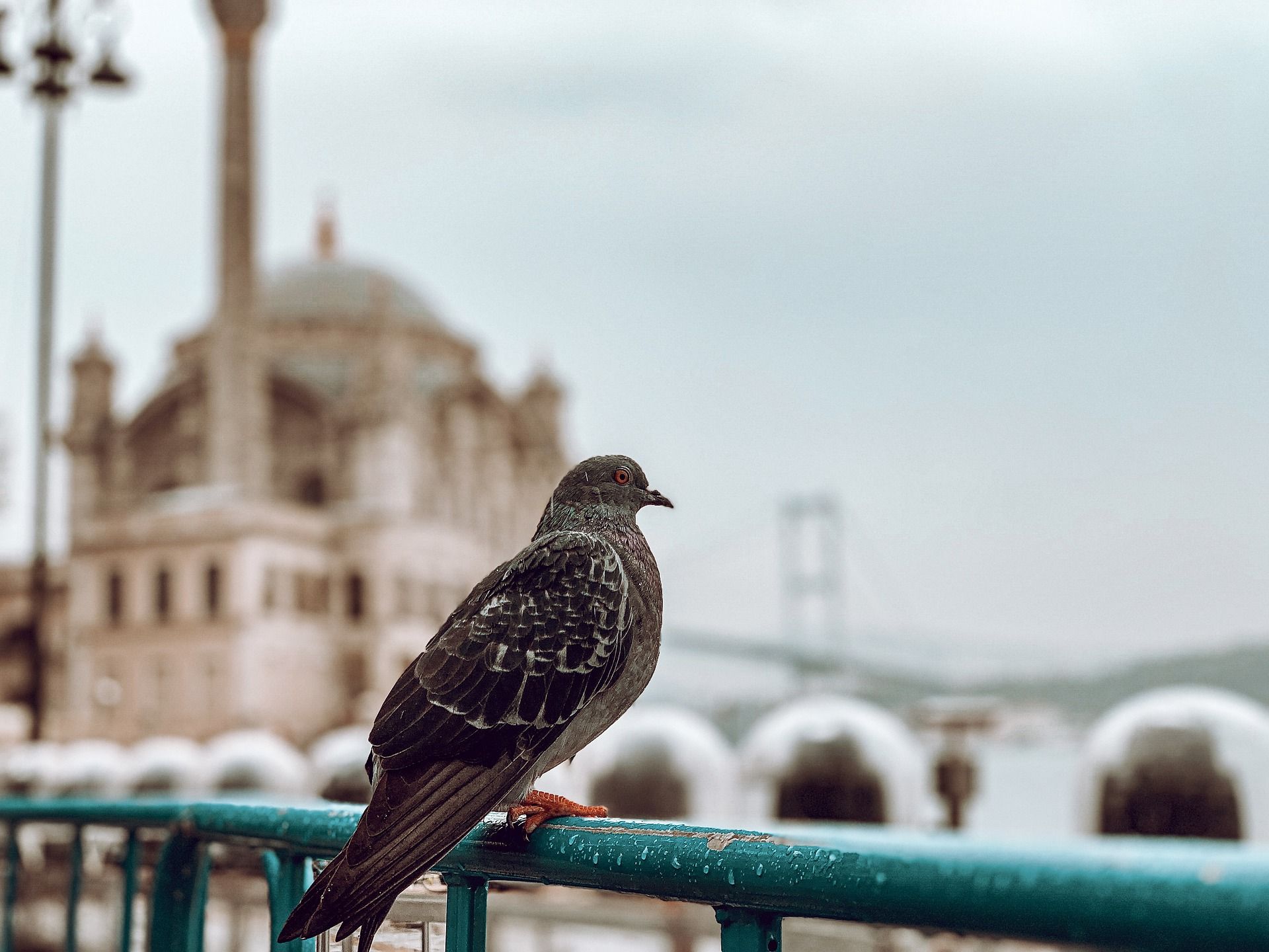 Прогноз погоди на 12 вересня 2022 в Україні - фото 1