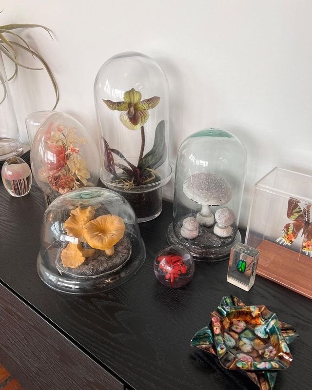 Співачка Ріта Ора заінтригувала відвертими фото у ванні – 18+ - фото 513761