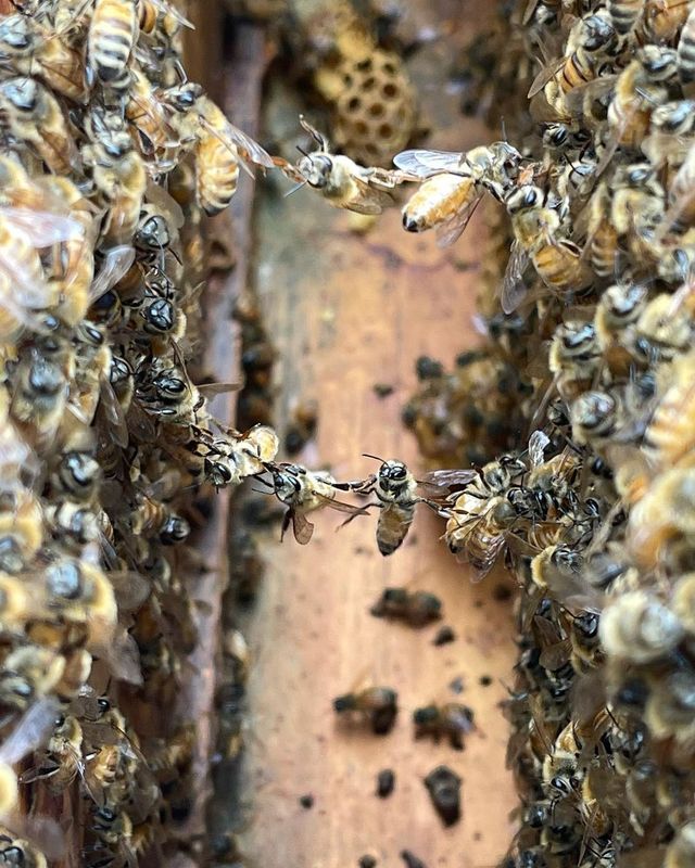 Співачка Ріта Ора заінтригувала відвертими фото у ванні – 18+ - фото 513764