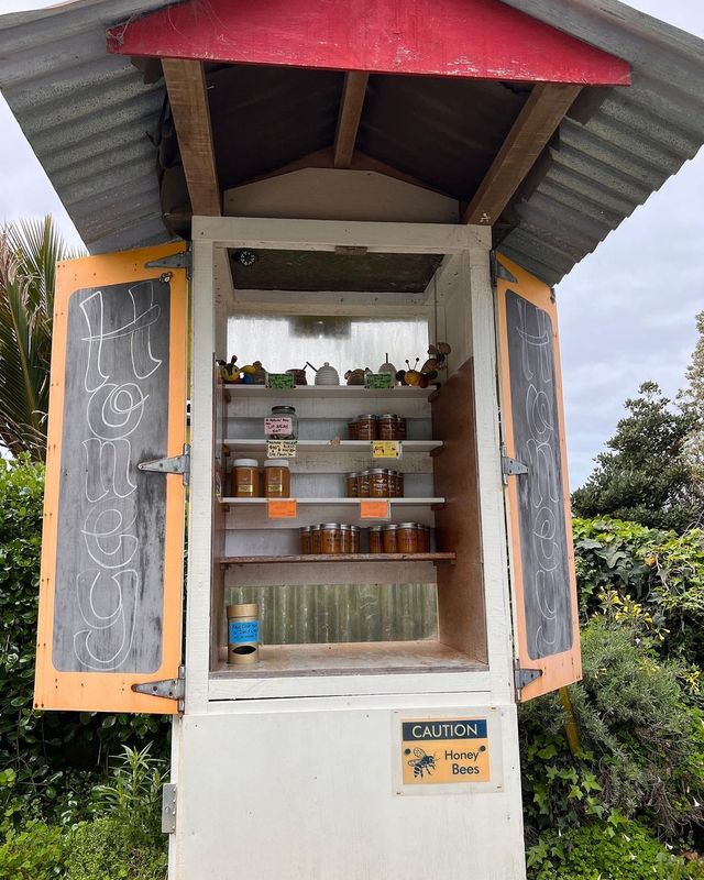 Співачка Ріта Ора заінтригувала відвертими фото у ванні – 18+ - фото 513765